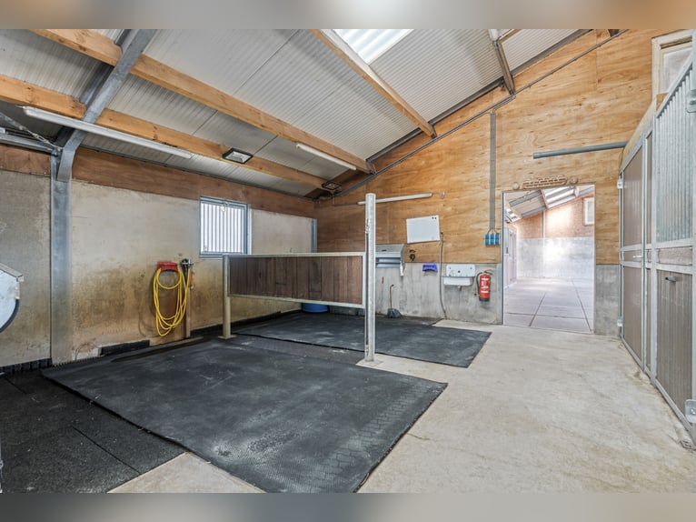 Freistehendes Haus mit großzügigem Wohnbereich und einer hochwertigen, komplett ausgestatteten Pferd