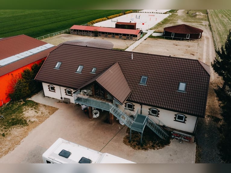 Funktionierende Reitschule in der Nähe von Lublin