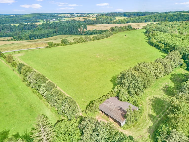 Gehobene Privatpferdehaltung – Idyllische Hofanlage im Zeller Land, oberhalb des Moselortes Zell!