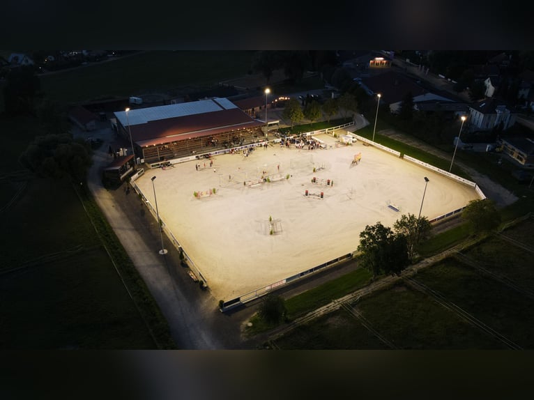 Generalpächter für Reitanlage in Babenhausen Schwaben / Bayern gesucht!