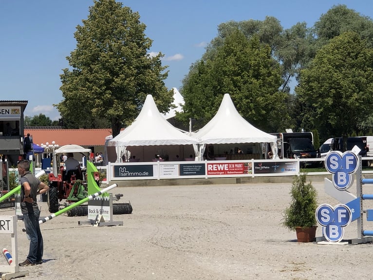 Generalpächter für Reitanlage in Babenhausen Schwaben / Bayern gesucht!