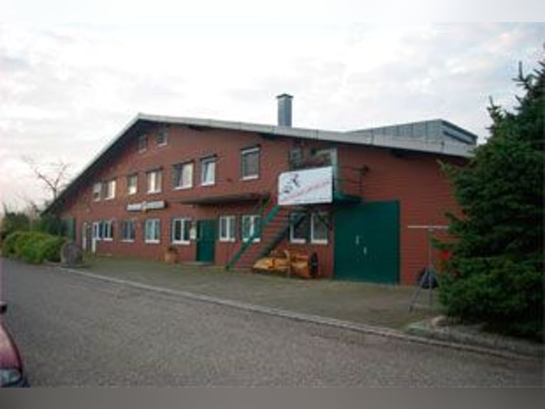 Gepflegte Reitanlage direkt an der Grenze zur Schweiz!