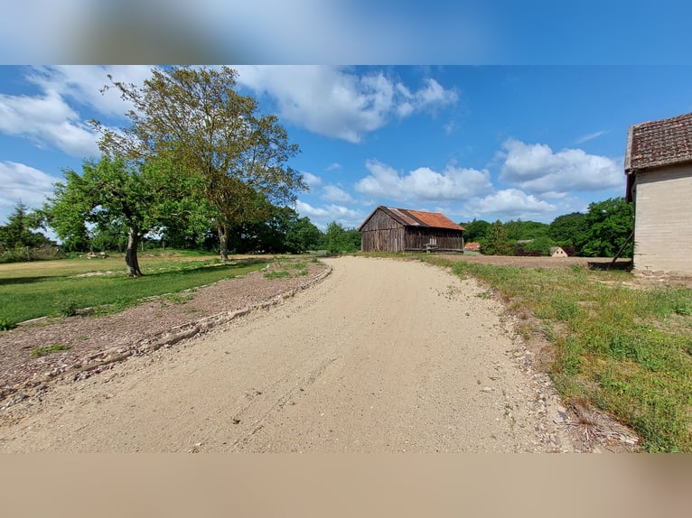 gepflegter Resthof zwischen Hamburg und Lübeck