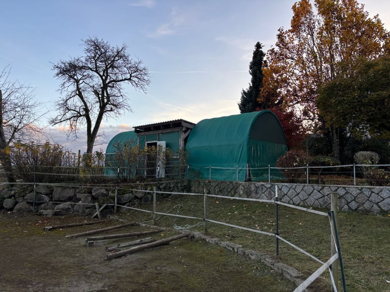 Gepflegtes Pferdeanwesen - 5000 qm, Sandplatz und Alpenblick | Nähe CH| grosses Ausbaupotenzial