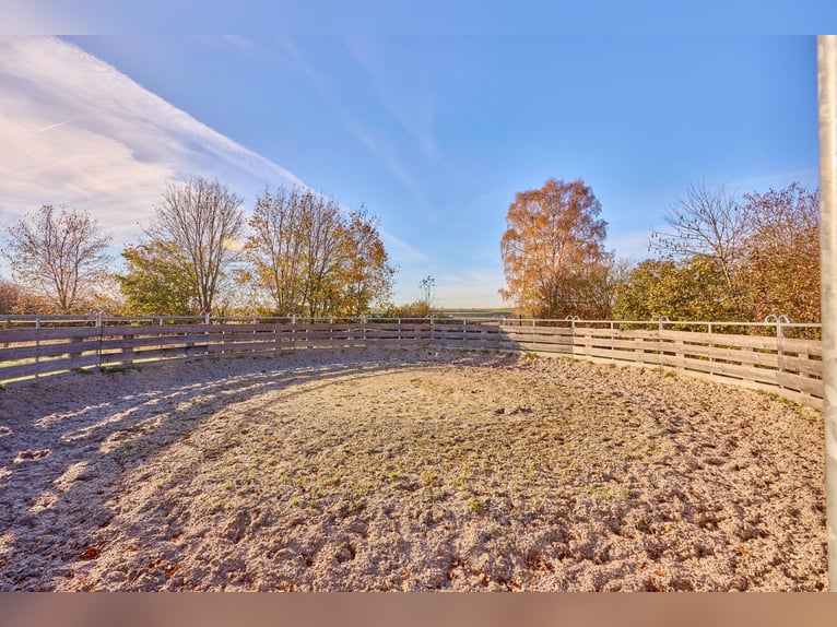 Gewerbeimmobilie in Herrenberg – Neuwertige Pferdeklinik mit mehreren Büros!