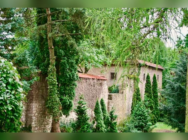 Graf & Gräfin gesucht -Romantik-Traum-Schloss mit arrondierten Ländereien - Pferde- & Event-Location