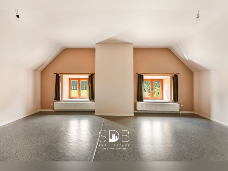 Hedendaagse villa met gezinstuin en graslanden op 7.496m2 te Heusden | België