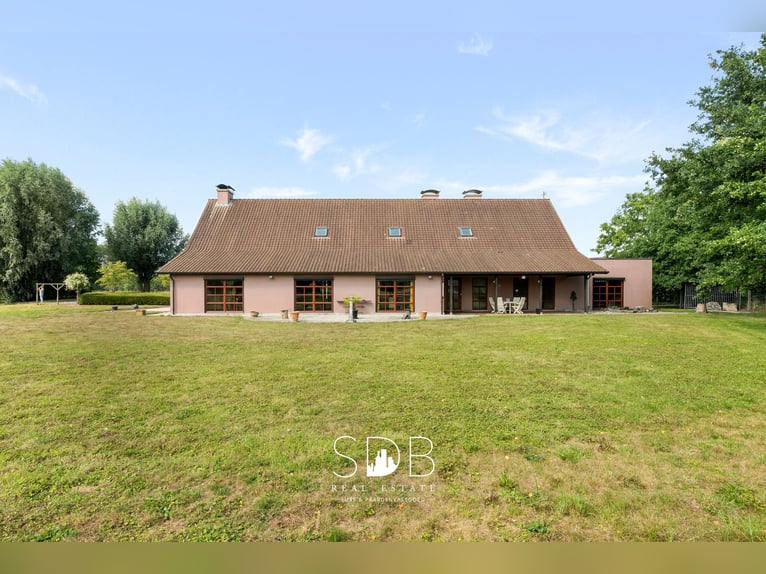 Hedendaagse villa met gezinstuin en graslanden op 7.496m2 te Heusden | België