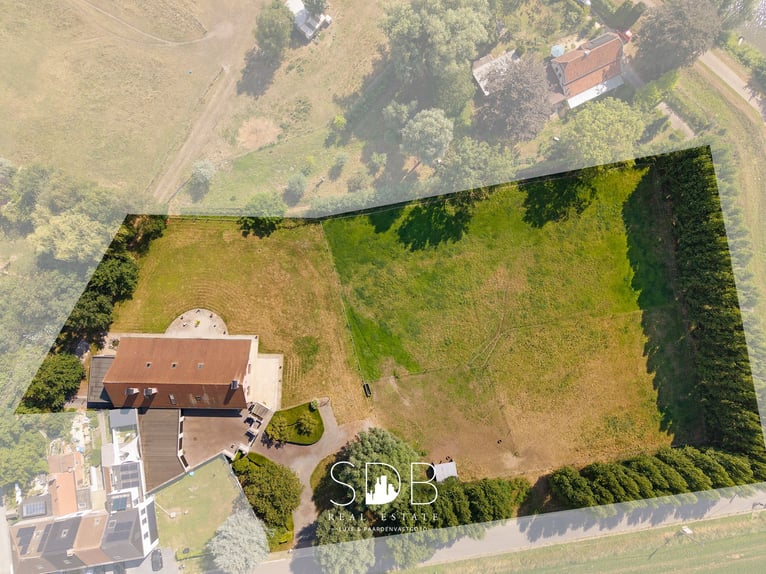 Hedendaagse villa met gezinstuin en graslanden op 7.496m2 te Heusden | België