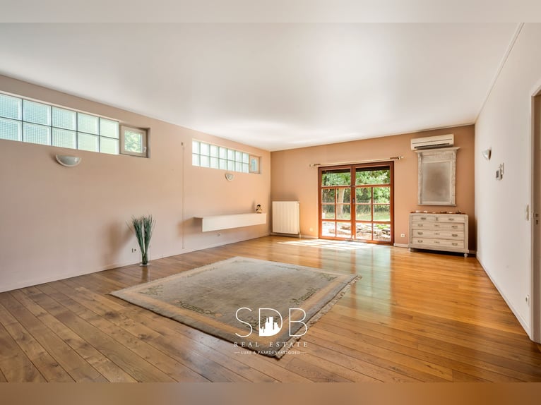 Hedendaagse villa met gezinstuin en graslanden op 7.496m2 te Heusden | België