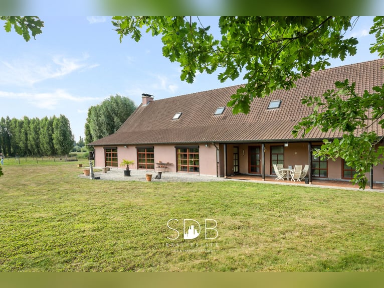 Hedendaagse villa met gezinstuin en graslanden op 7.496m2 te Heusden | België