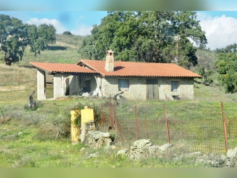 Hervorragender Jagd- und Rinderhof.