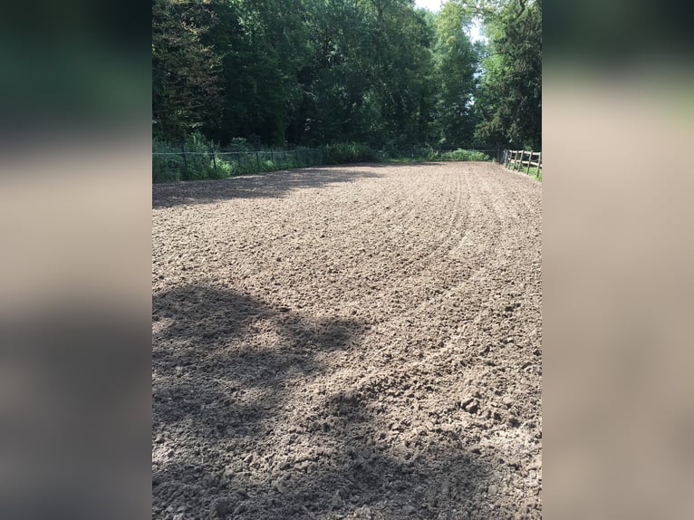 Historischer Gutshof in traumhafter Lage mit viel Land Historischer Gutshof in traumhafter Lage mit viel Land
