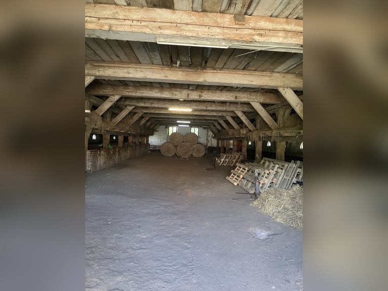 Historischer Gutshof in traumhafter Lage mit viel Land Historischer Gutshof in traumhafter Lage mit viel Land