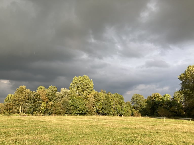 Historischer Gutshof in traumhafter Lage mit viel Land Historischer Gutshof in traumhafter Lage mit viel Land