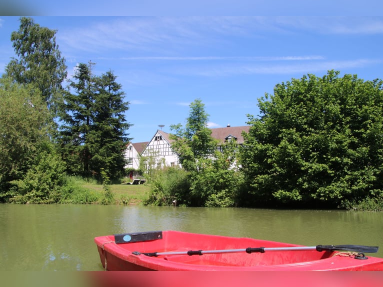 Historischer Hof / kleine Reitanlage Nähe Bamberg, Reithalle möglich