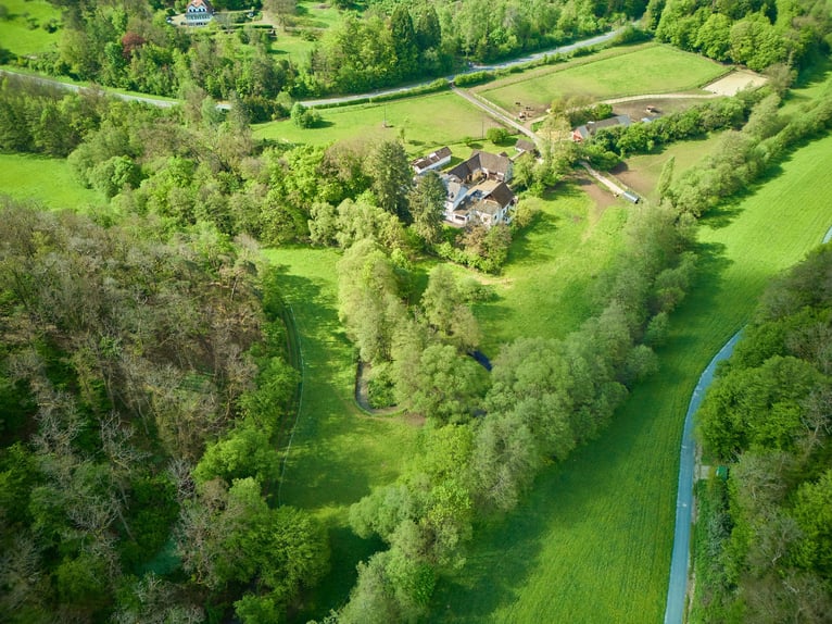 Historisches Anwesen mit Pferdestallungen in Alleinlage im Rhein-Main-Gebiet!