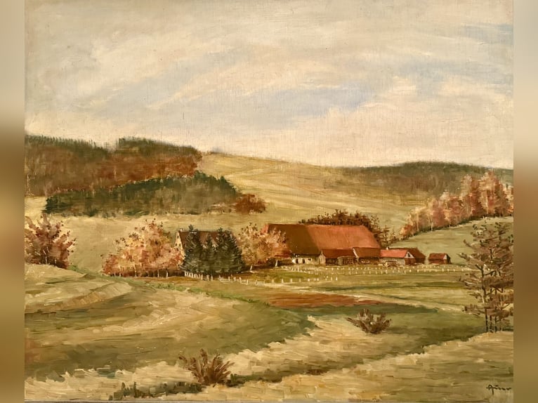 Historisches Hofgut mit Landwirtschaft auf 40 ha arrondierter Fläche & Pferdehaltung, nahe Bodenseeu