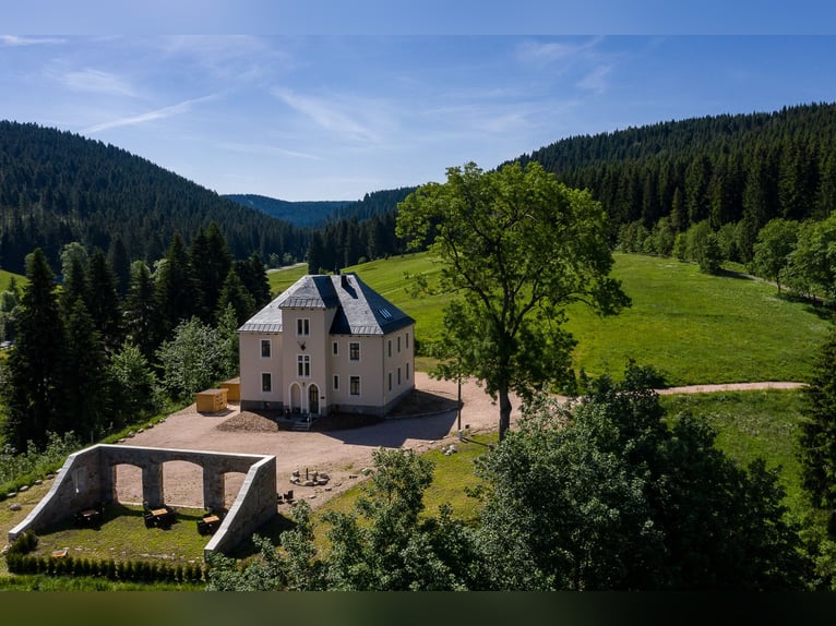 Historisches Villenanwesen im Erzgebirge – Absolute Alleinlage in traumhafter Natur!