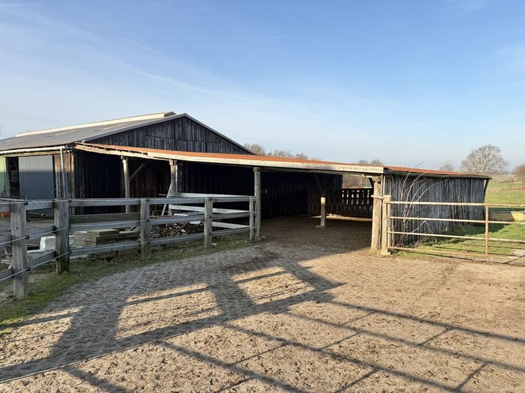 Hof für Pferdeliebhaber mit Wohnhaus in schöner Dorfrandlage
