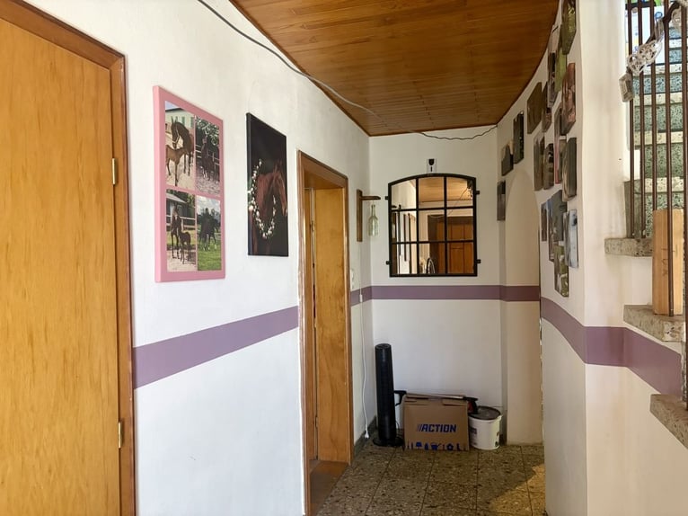 Hof für Pferdeliebhaber mit Wohnhaus in schöner Dorfrandlage