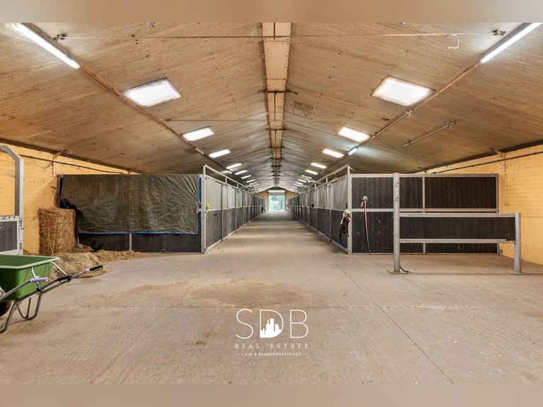 Hof mit Pferdehaltung und Weideflächen auf 14.490 m² in Antwerpen | Belgien