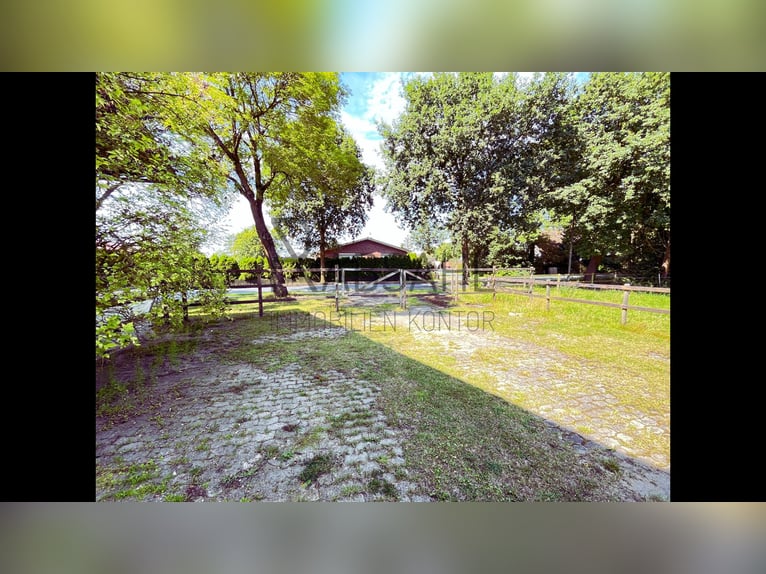 Hofensemble mit ausgebauter Tenne und 1,6ha Land direkt am Haus! Genehmigte Pferdehaltung!