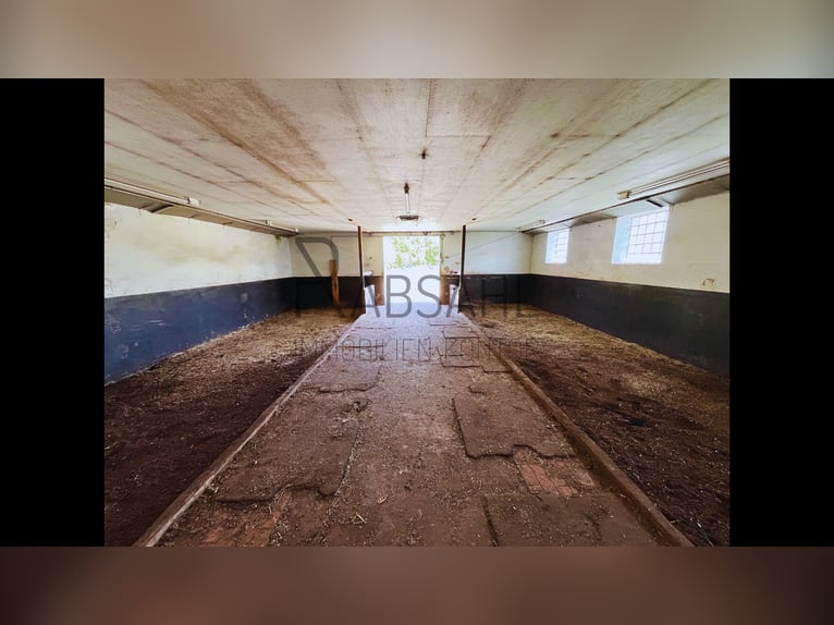 Hofensemble mit ausgebauter Tenne und 1,6ha Land direkt am Haus! Genehmigte Pferdehaltung!