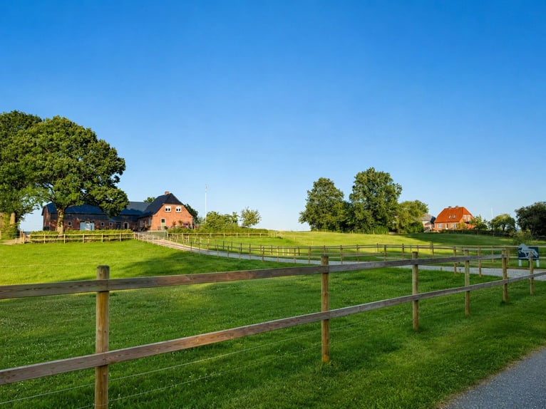 Hyggeliges Landhaus mit hochwertigem Pferdebereich in Sønderjylland in Traumlage