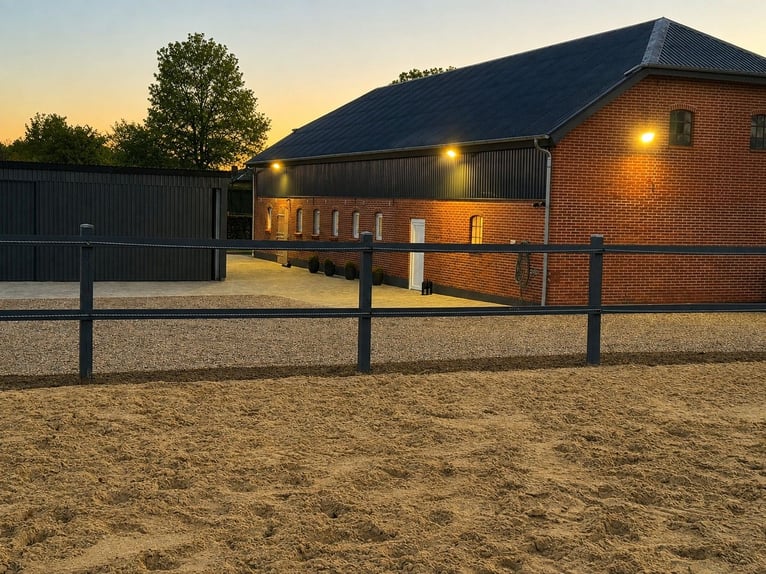 Hyggeliges Landhaus mit hochwertigem Pferdebereich in Sønderjylland in Traumlage