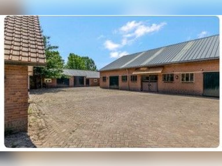 Idyllischer Pferdehof in Kootwijkerbroek, Veluwe, zu verkaufen
