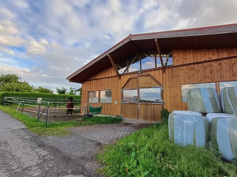 Idyllischer, schön gestalteter Reithof zu verkaufen in Lichtenfels (Hessen) nähe Willingen-Edersee 