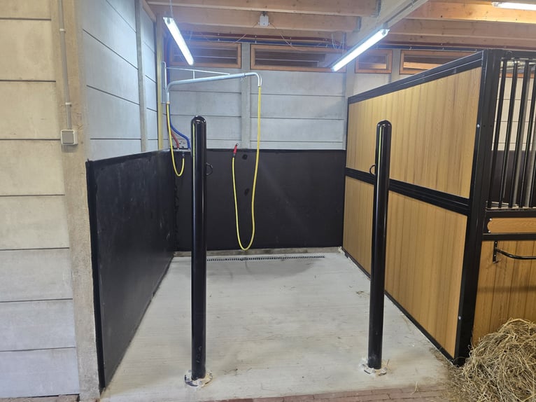 Innen und außen Stall. 