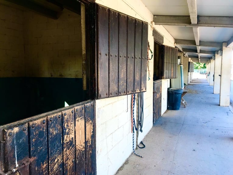 INSTALACIONES HÍPCAS EN LA FAMOSA ZONA DEL MATARRAÑA ESTATE WITH EQUESTRIAN FACILITIES IN MATARRAÑA