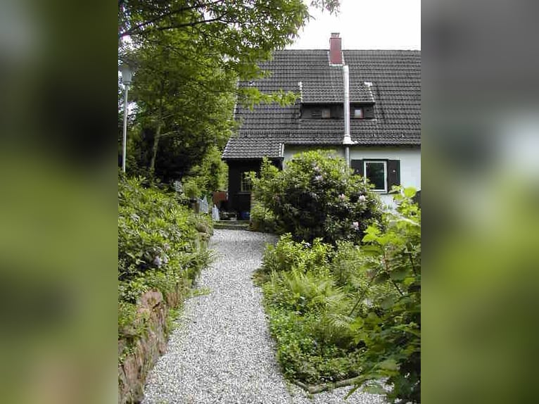 kleine Perle im Odenwald (Haus mit Boxen und Reitplatz)