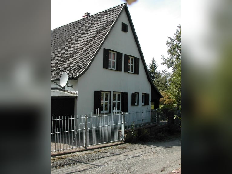 kleine Perle im Odenwald (Haus mit Boxen und Reitplatz)