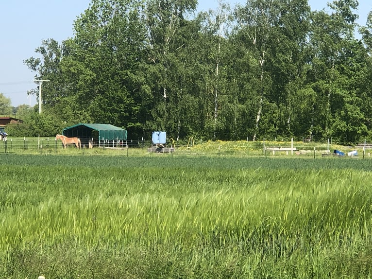 kleine Reitanlage in der Fränkischen Toskana