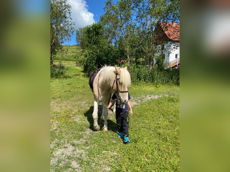 Kleiner Pferdehof in der Nähe vom Bodensee zu verk.