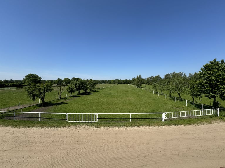 Kompakte Reitsportanlage im Herzen von Ostwestfalen-Lippe