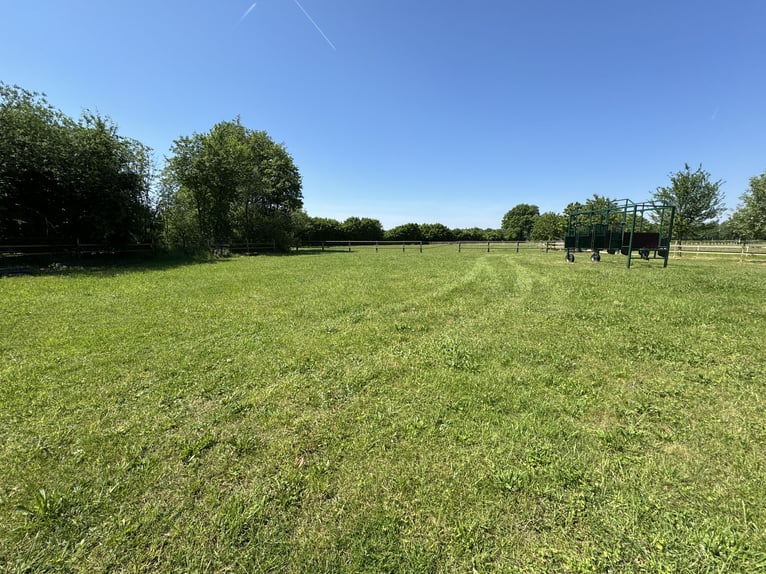 Kompakte Reitsportanlage im Herzen von Ostwestfalen-Lippe