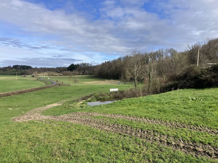 Komplett einsatzbereiter Reitstall!