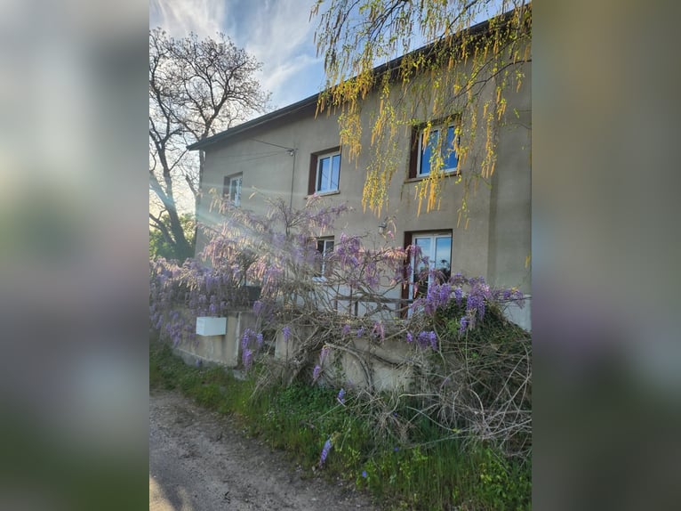 Komplett einsatzbereiter Reitstall!