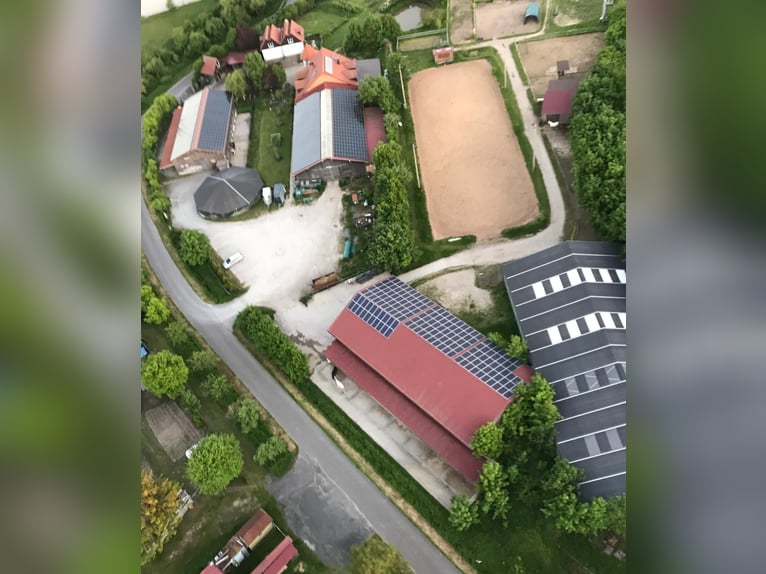 Kompletter Pferdestall 15 Paddock Boxen + 8 Offenstall Plätze + Halle + Dressur Platz Für 2000 € i.M