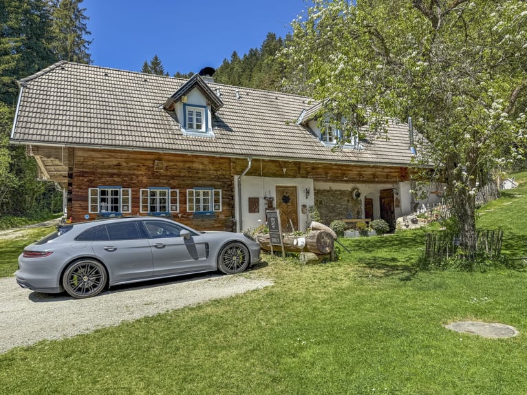 Landgut bei Birkfeld (Steiermark) - Pferdehaltung für bis zu 5 Pferde direkt am eigenen Zuhause