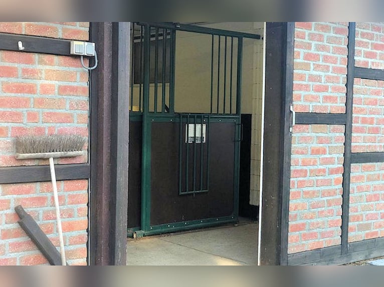 Landhaus mit Pferdestall   -  Kreis Kleve NRW