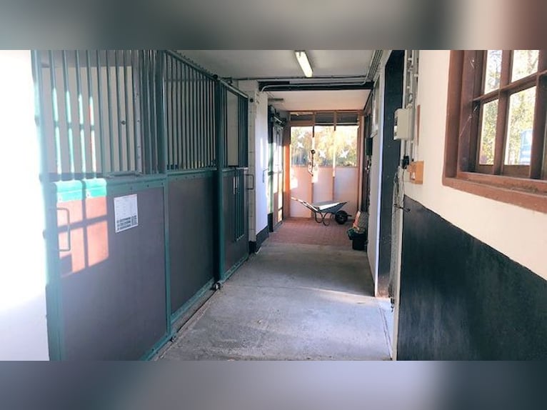 Landhaus mit Pferdestall & zusätzliche Optionen  -  Kreis Kleve NRW