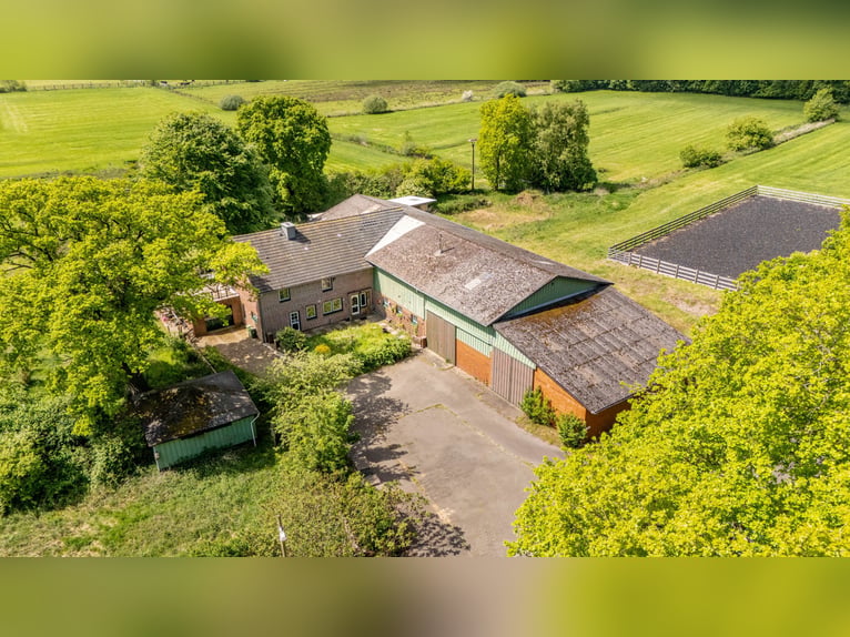 Landliebe pur – großzügiges Anwesen in ruhiger Alleinlage mit ca. 7,5 ha arrondierten Grünflächen