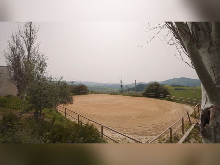 Landwirtschaftliche Nutzfläche zu verkaufen