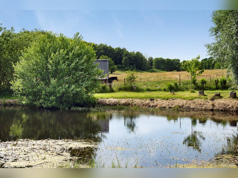 Lebe den Traum am Tor zu Österlen – Reiterhof, Hirschgehege, Fluss.