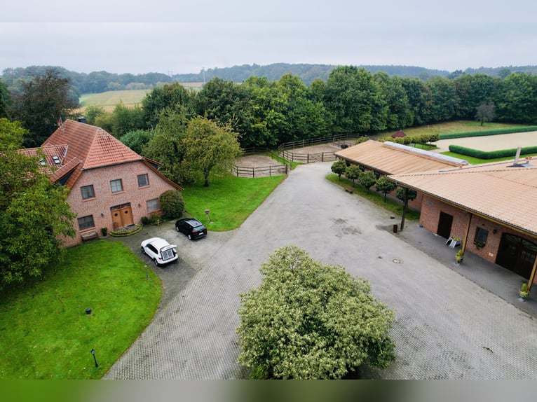 Luxuriöse Reitanlage mit viel Wohnraum und Komfort